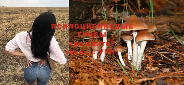 а пвп мука Балабаново